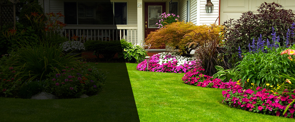 Cato Landscapers